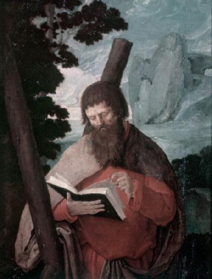 Lucas van Leyden Der heilige Andreas in Halbfigur oil painting picture